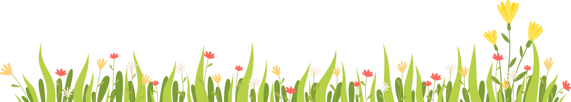 footer border